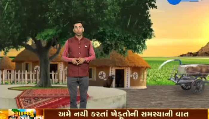 ગામડું જાગે છે: કચ્છમાં તિડ ગયા પણ બચ્ચા મુકીને ગયા, જુઓ વીડિયો 