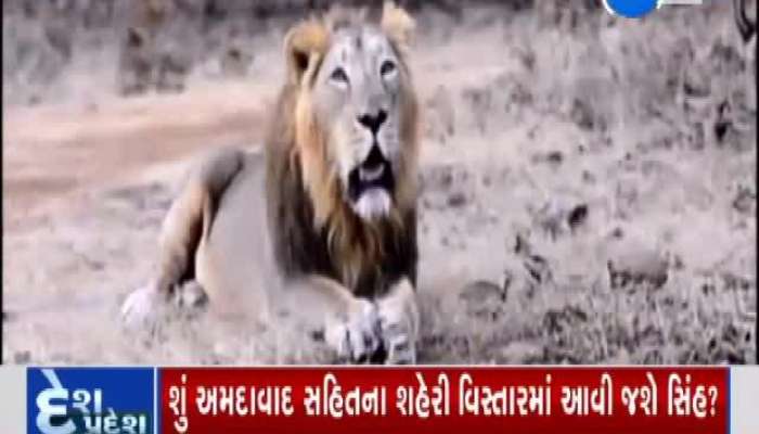 What precautions to take to avoid lions 