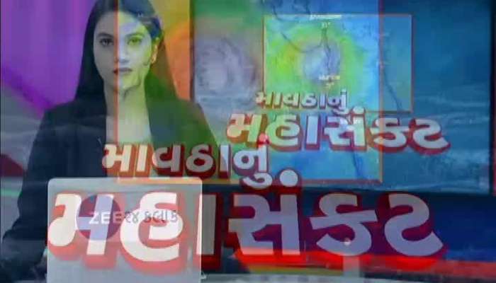 માવઠાનું મહાસંકટ: રાજપીપળામાં વહેલી સવારે વરસાદ, ખેડૂતો ફરી ચિંતામાં