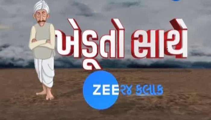 ZEE 24 KALAK પર મગફળી ખરીદીનો મોટો ખુલાસો, જુઓ સમગ્ર અહેવાલ