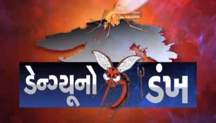 Youth Dies Due To Dengue In Surat