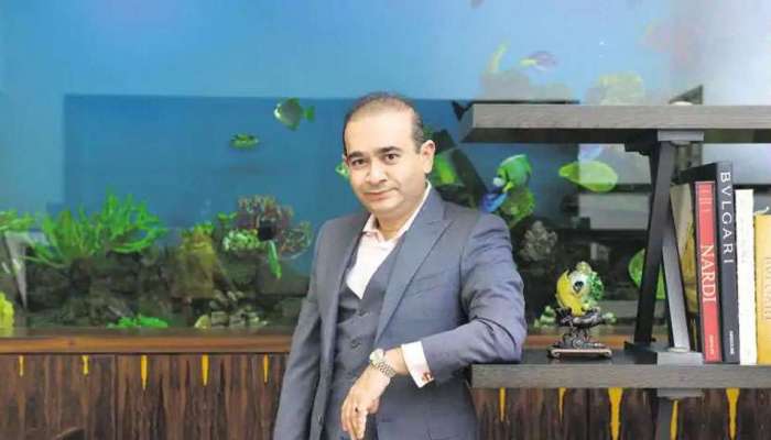 PNB કૌભાંડ: નીરવ મોદીને મોટો ઝટકો, ભાગેડૂ આર્થિક અપરાધી જાહેર, સંપત્તિ જપ્ત થશે