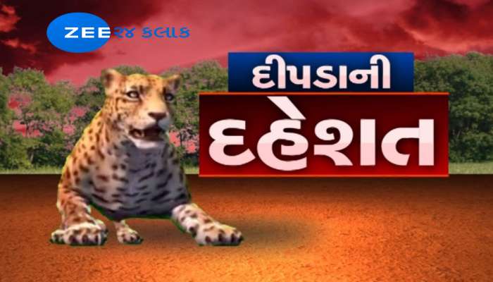દિપડાની દહેશતઃ બગસરા તાલુકામાં જિલ્લા કલેક્ટરે લગાવી ધારા 144...!! 