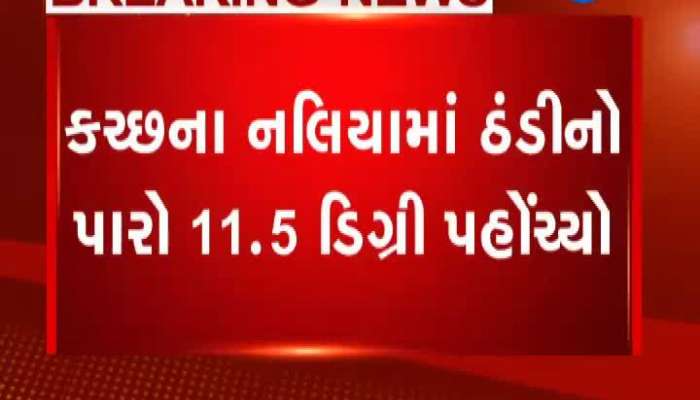 રાજ્યમાં ઠંડીનો ચમકારો, સૌરાષ્ટ્ર-કચ્છમાં ઠંડીનો પારો 15 ડીગ્રીથી નીચે