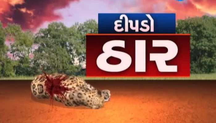 અમરેલીમાં દીપડો ઠાર: ફોરેસ્ટ વિભાગનું સફળ ઓપરેશન