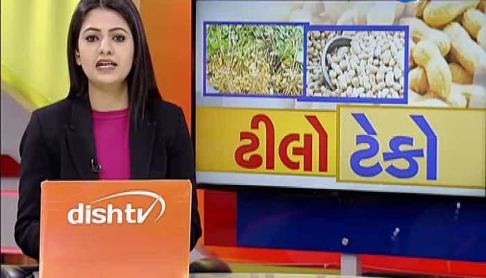 કપાસની ખરીદી: કપાસના પાકને ભારે નુકસાન, જામનગરના ખેડૂતોની કફોડી હાલત
