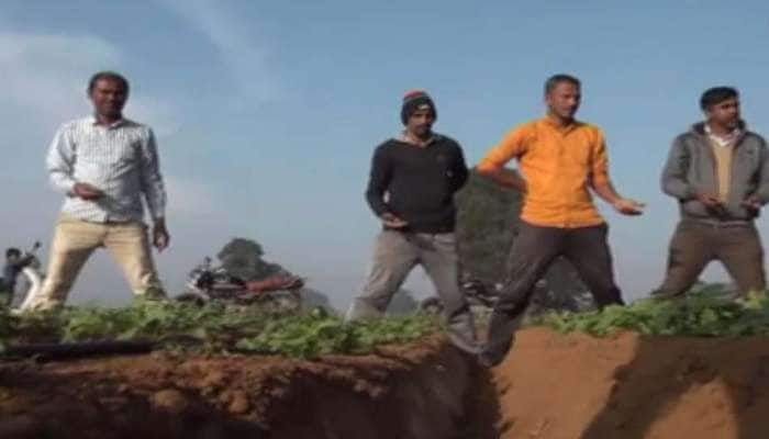 મોડાસા : 200 વિઘામાં વાવેલા બટાકા જમીનમાં જ કહોવાઈ ગયા, ખેડૂતો કફોડી હાલતમ