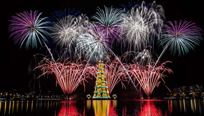 Christmas : બ્રાઝીલમાં વિશ્વનું સૌથી ઊંચું તરતું ક્રિસમસ ટ્રી, 9 લાખથી વધુ LED બલ્બથી રોશન 