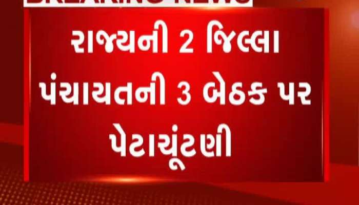 રાજ્યની 2 જિલ્લા પંચાયતની 3 બેઠકો પર પેટાચૂંટણી