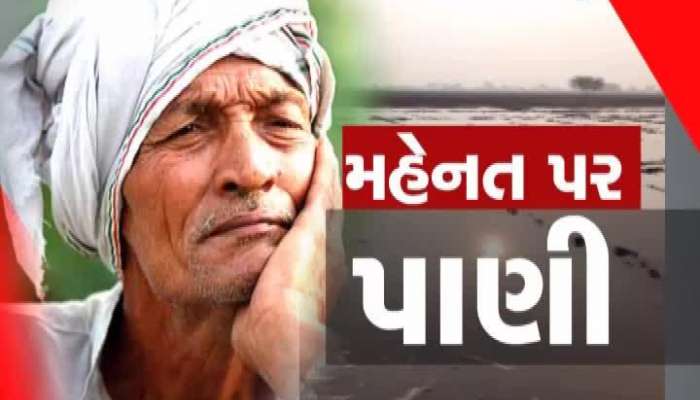  નવા વર્ષે રાજ્ય સરકારે કરી મહત્વની જાહેરાત, જુઓ ન્યૂઝરૂમ લાઇવ