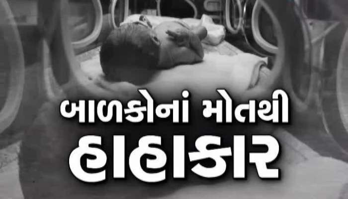 બાળકોના મોત મામલે પરેશ ધાનાણીનું નિવેદન, જાણો શું કહ્યું...