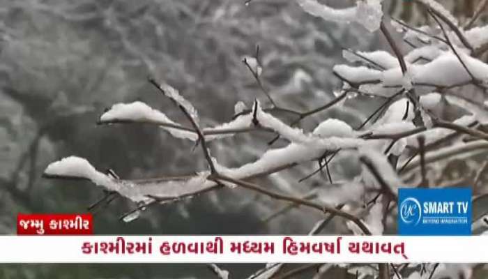 Snowfall In Kashmir, Minus 5 Degrees Celsius In Kashmir