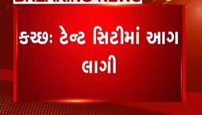 કચ્છ રણોત્સવ: ટેન્ટ સિટીમાં આગથી અમેરિકન નાગરિકના દસ્તાવેજ બળીને ખાક