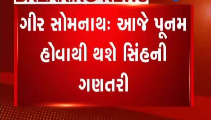 આજે પુનમના દિવસે સિંહની ગણતરી હાથ ધરાશે