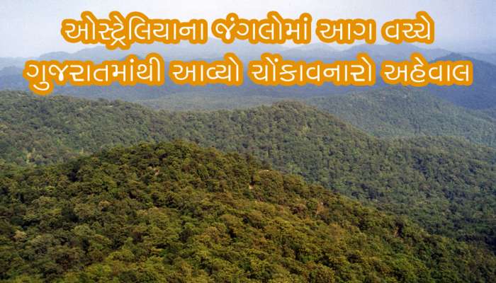 ઓસ્ટ્રેલિયાની આગ કરતા ગુજરાતનો આ અહેવાલ વાંચી તમારા દિલમાં લાગશે આગ