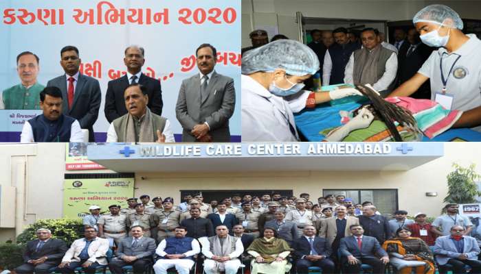 ઉતરાયણ: પશુઓ માટે સંવેદનશીલ સરકાર, 124 ડોક્ટર્સ અને 1469 વોલેન્ટિયર્સ ખડેપગે