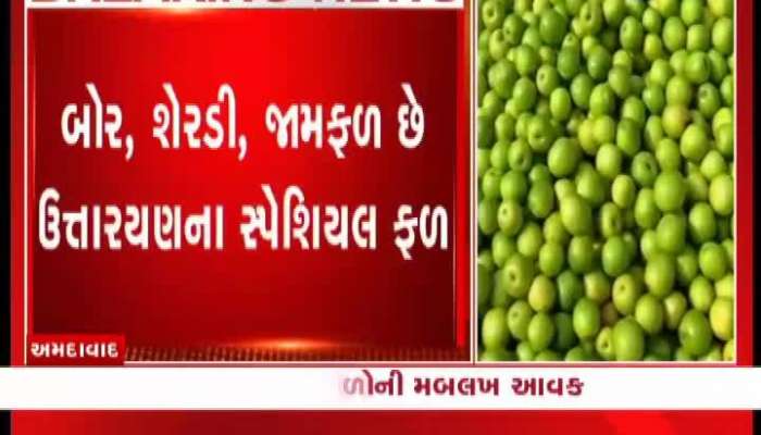 અમદાવાદના ફ્રૂટ બજારમાં ફળોની મબલખ આવક થઈ