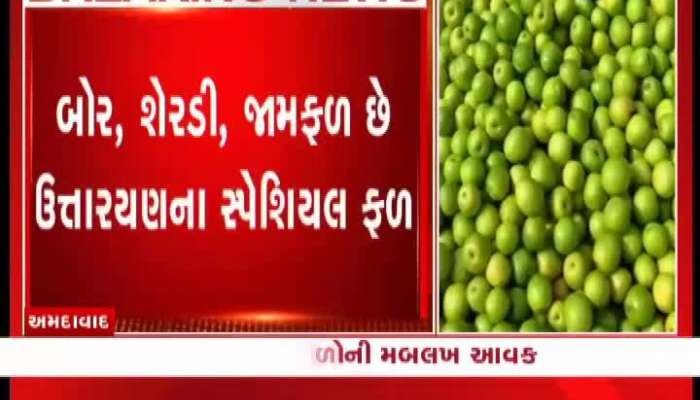 અમદાવાદના ફ્રૂટ બજારમાં ફળોની મબલખ આવક થઈ