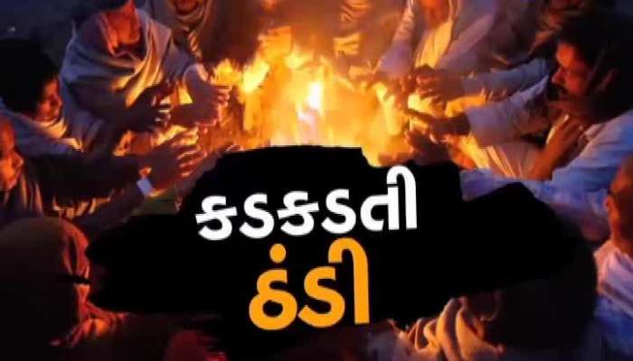 હાડ થીજવી દે તેવી ઠંડી, કાતિલ ઠંડીથી ગુજરાતનું કોઈ શહેર બાકી નથી