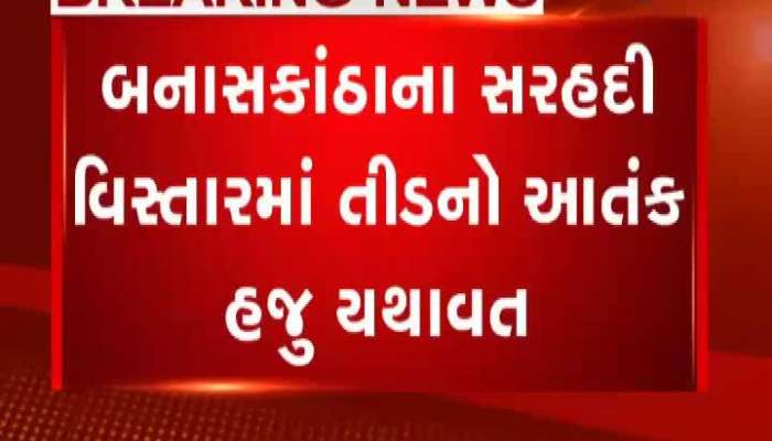 બનાસકાંઠાના સરહદી વિસ્તારમાં હજુ તીડનો આતંક યથાવત