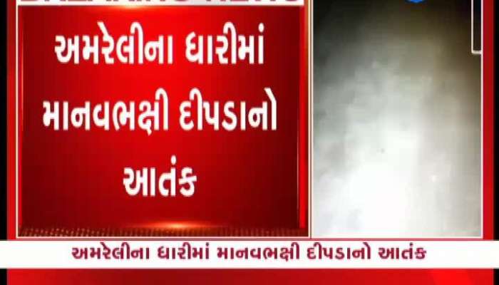 અમરેલીમાં દીપડાનો બાળકી પર હુમલો, તીડના ઝુંડે બનાસકાંઠાને બનાવ્યું ઘર