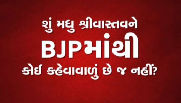 સાતમા આસમાને પહોંચ્યો મધુ શ્રીવાસ્તવનો ગુસ્સો, મીડિયા કર્મી સાથે કરી હાથાપાઈ, તો ભાજપે લાલ આંખ કરી 