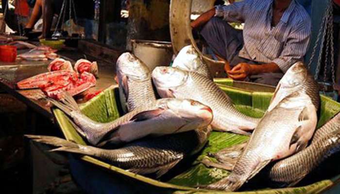 મટન, ચિકન, મચ્છી માર્કેટમાં જનાર થઇ જાય એલર્ટ, અહીં ઝડપથી ફેલાય છે કોરોના વાયરસ