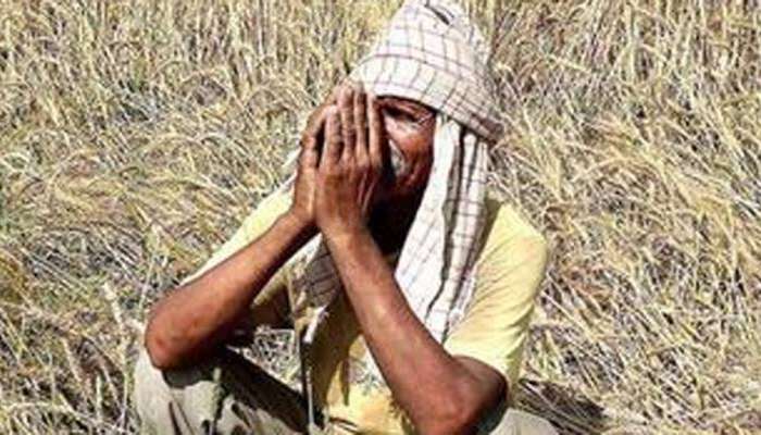 Budget 2020: આ 5 પોઈન્ટ પર ફોકસ, ખેડૂતો માટે થઈ અનેક મહત્વની જાહેરાતો, જાણવા કરો ક્લિક