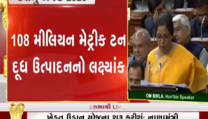 Budget2020 : બજેટમાં પાણીની તંગીથી પીડાતા જિલ્લાઓ માટે વિશેષ જાહેરાત