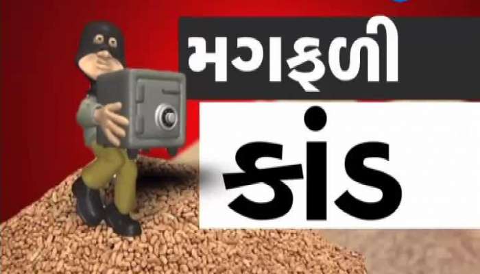 જુનાગઢ મગફળી કાંડમાં નાયબ મુખ્યમંત્રીએ કહ્યું, જવાબદારો સામે પગલા લઈશું