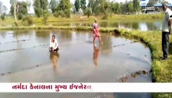કોના પાપે મંડલીકપુર ગામના બાળકો આવી રીતે ભણવા મજબૂર બન્યા છે?