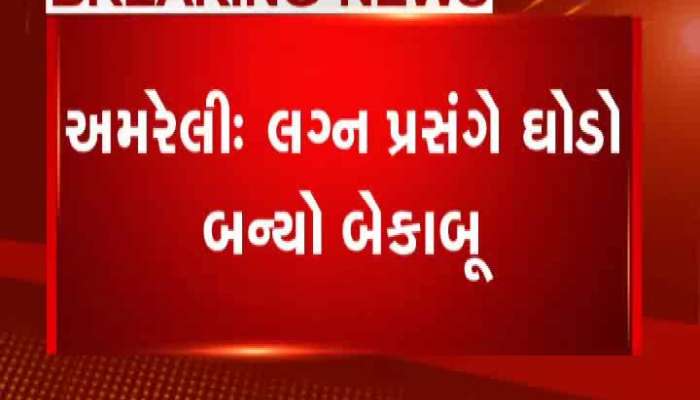 લગ્ન પ્રસંગે ઘોડાને ખેલવતા એક વૃધ્ધને ઘોડાએ લીધા હડફેટે 