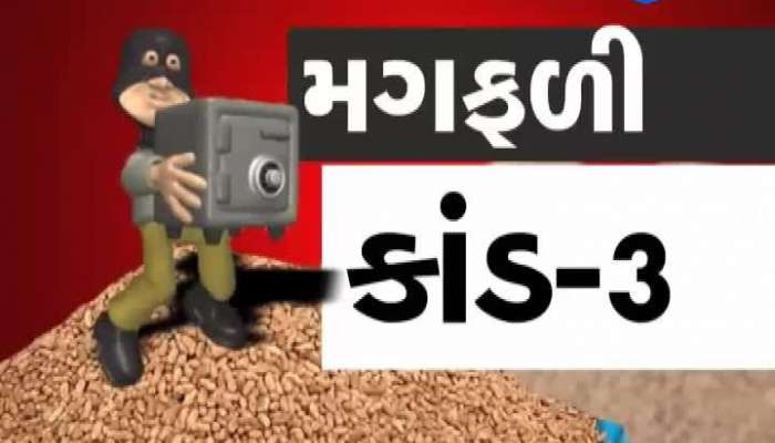 મગફળી કાંડ: ભેસાણ માર્કેટિંગ યાર્ડના CCTV ફૂટેજ આવ્યા સામે