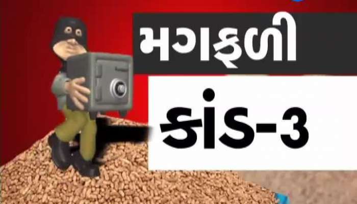 જૂનાગઢ: ભેસાણમાં મગફળી કૌભાંડની ગંધ, CCTV ફૂટેજે બધાને ચોંકાવ્યાં