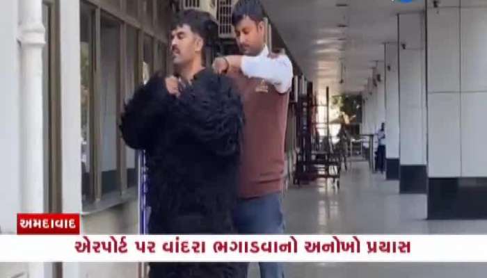 અમદાવાદ એરપોર્ટ પર વાંદરા ભગાડવાનો અનોખો પ્રયાસ