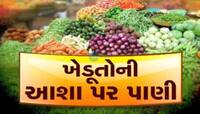 VIDEO મફતના ભાવે શાકભાજી વેચવા મજબુર થયા ખેડૂતો, ભાવ જાણીને વિશ્વાસ નહીં ક