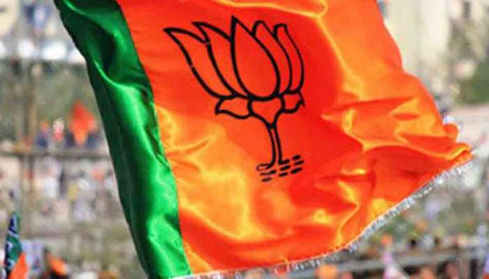 Delhi Assembly Election Result: AAPની આંધીમાં પણ BJP આ બેઠકો પર અડીખમ, મતોની ટકાવારીમાં જંગી વધારો