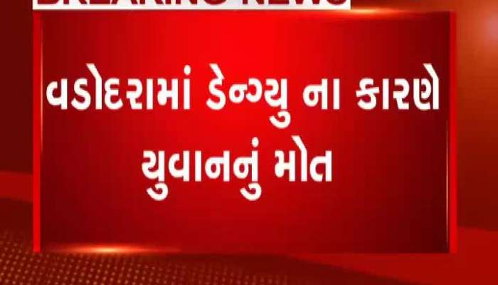 first death due to dengue in vadodara, youth died