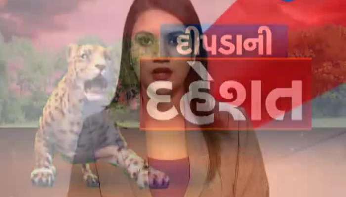 દીપડાની દહેશત: રાજકોટના પ્રદ્યુમન પાર્કમાં દીપડો ઘુસ્યો