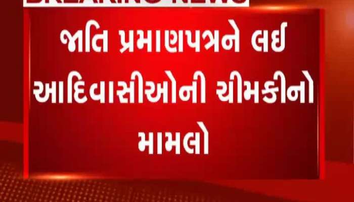 સાચા આદિવાસીઓ અને રાજકોટમાં બુટલેગરના આતંકના જુઓ સમાચાર