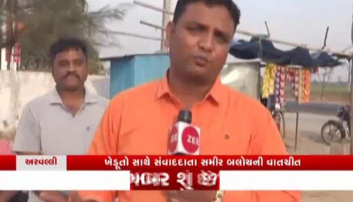 મોદી સરકારે કર્યો પાક વીમો મરજિયાત, જાણો શું કહેવું છે અરવલ્લીના ખેડૂતોનું...