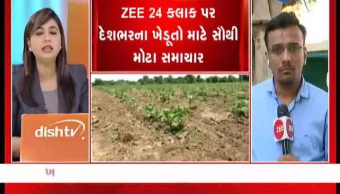 મોદી સરકારે કર્યો પાક વીમો મરજિયાત, જાણો શું કહેવું છે રાજકોટના ખેડૂતોનું...