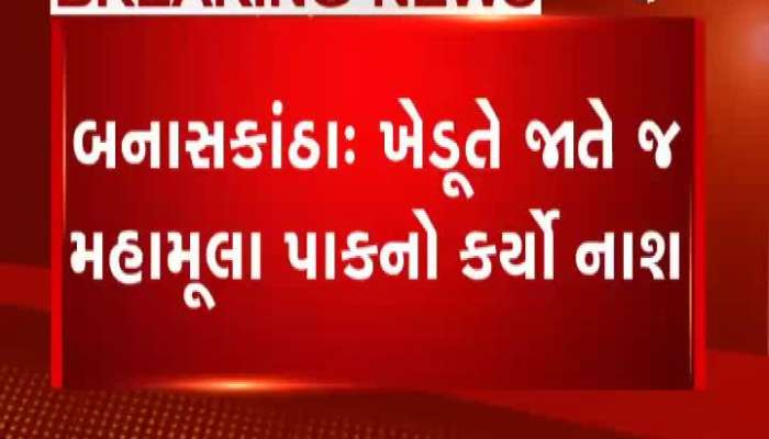પાણી ન મળતા કંટાળેલા ખેડૂતે જીરાનો વાવેલો પાક કાઢી નાંખ્યો 