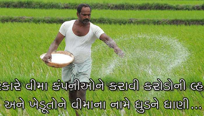 સરકારે દળી દળીને ઘંટીમાં ભર્યું? વીમા કંપનીઓને કરોડો ચુકવ્યા, ખેડૂતોને મળ્યો ઠેંગો