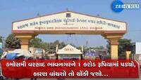 ગુજરાતમાં મેઘાડંબર: કમોસમી વરસાદે ભાવનગરમાં કર્યું કરોડો રૂપિયાનું નુકસાન