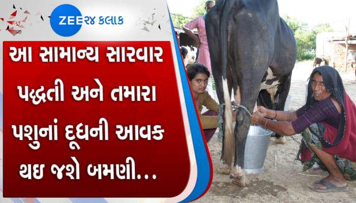 અનોખી પહેલ: દુધાળા પશુઓની સારવાર હવે આયુર્વેદિક પદ્ધતીથી કરાશે, NDDB ની અનોખી પહેલ