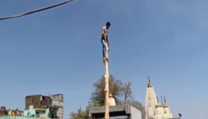 દાહોદ: ઝાડ પર લટકાવેલો ગોળ જે યુવક લાવે તે ઇચ્છે તે યુવતી સાથે લગ્ન કરી શકે છે