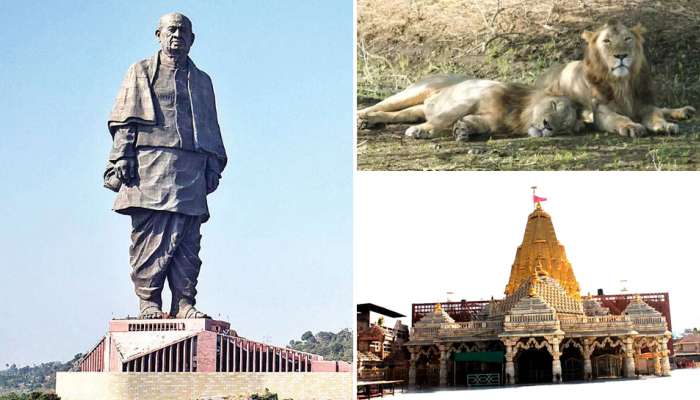 કોરોનાના કહેરને લઈ સરકાર દ્વારા મહત્વના પ્રવાસન સ્થળો કરાયા બંધ