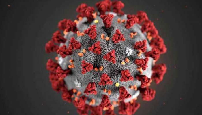 Coronavirus Live Updates : દેશમાં કોરોનાના 169 મામલા, મહારાષ્ટ્રમાં હાલત સૌથી વધારે ખરાબ