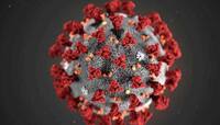 Coronavirus Live Updates : દેશમાં કોરોનાના 169 મામલા